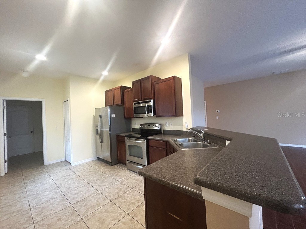 10702 Burning Bush Terrace Land O Lakes FL 34638 O6357935 image12