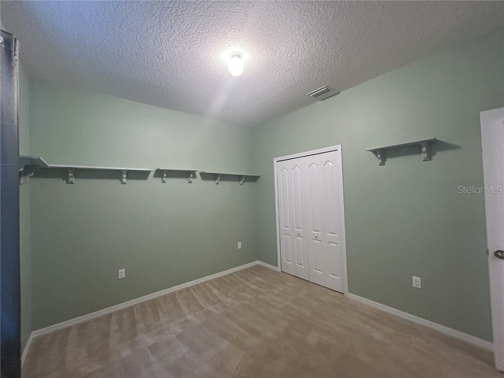 10702 Burning Bush Terrace Land O Lakes FL 34638 O6357935 image16