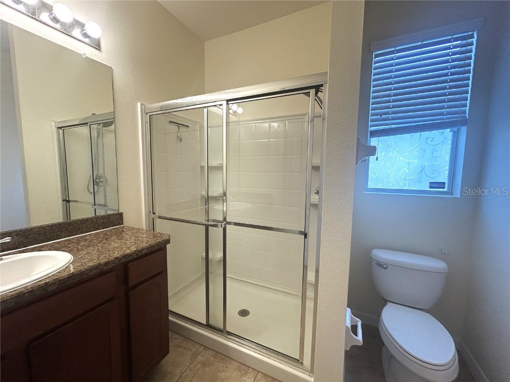 10702 Burning Bush Terrace Land O Lakes FL 34638 O6357935 image20