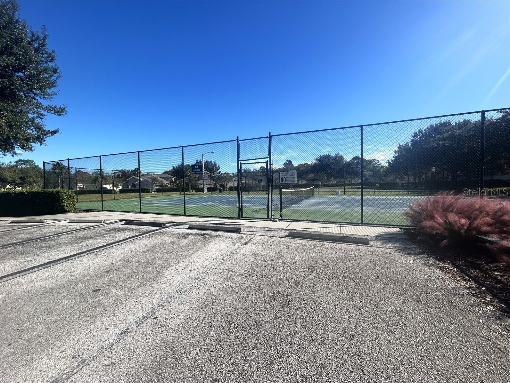 10702 Burning Bush Terrace Land O Lakes FL 34638 O6357935 image5