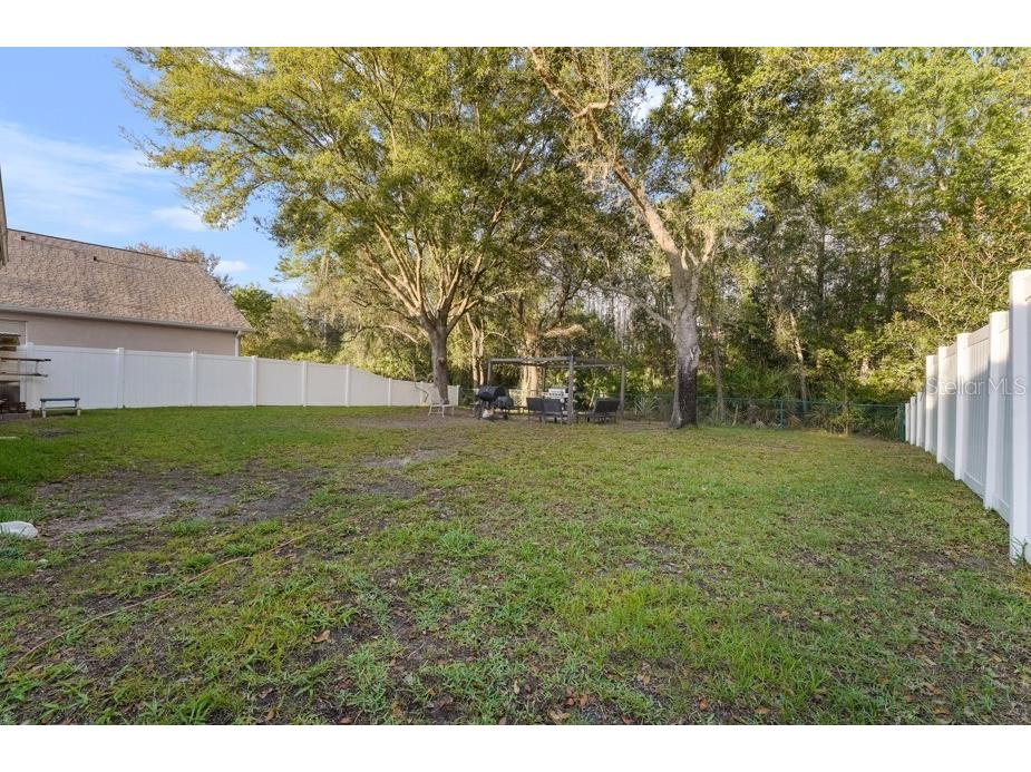 10702 Deerberry Drive Land O Lakes FL 34638 TB8486485 image26