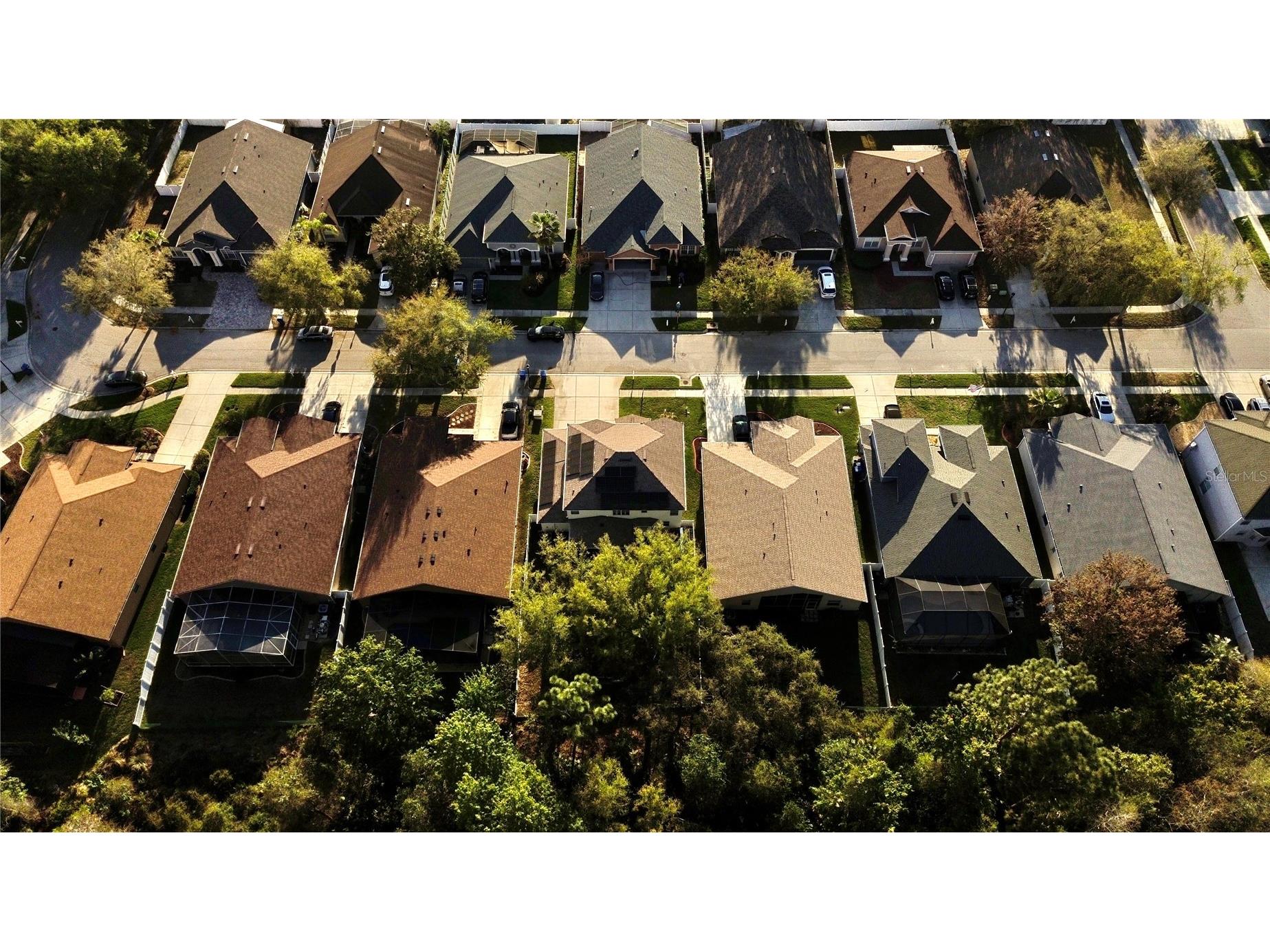 10702 Deerberry Drive Land O Lakes FL 34638 TB8486485 image34