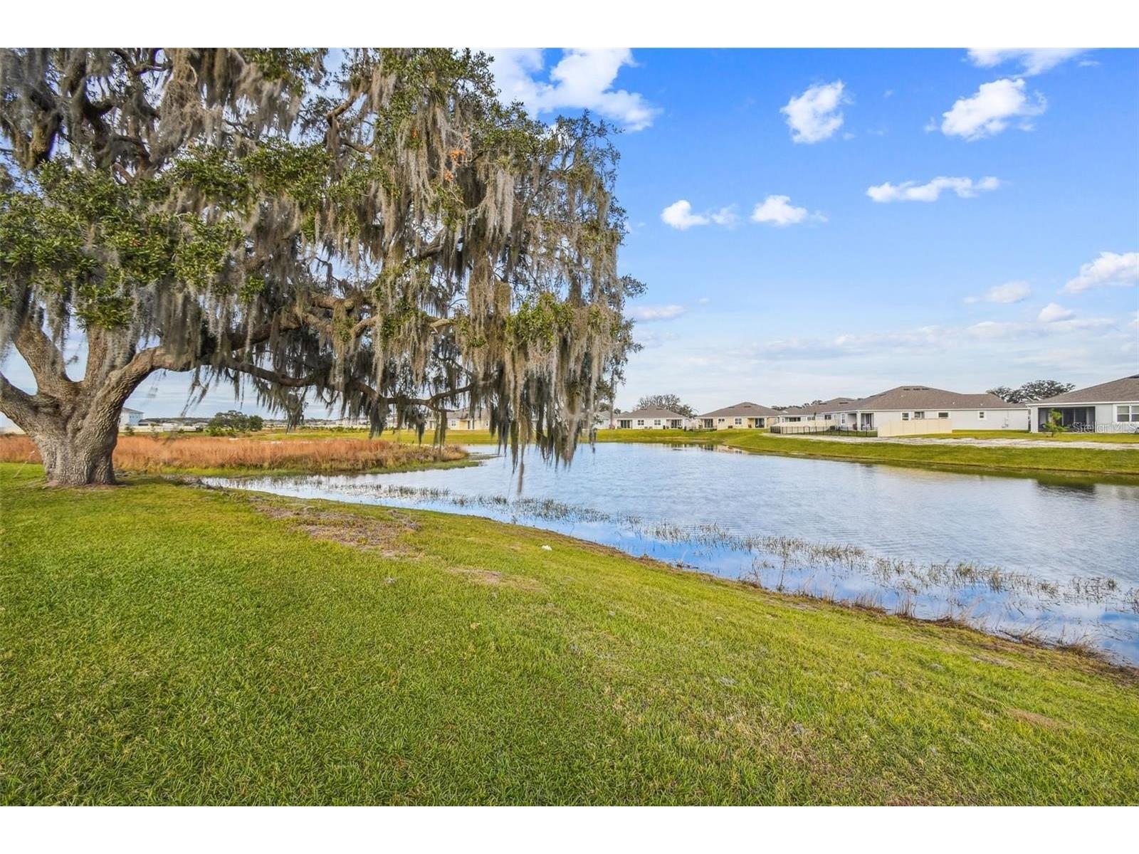 10702 Laxer Cay Loop San Antonio FL 33576 TB8461156 image28