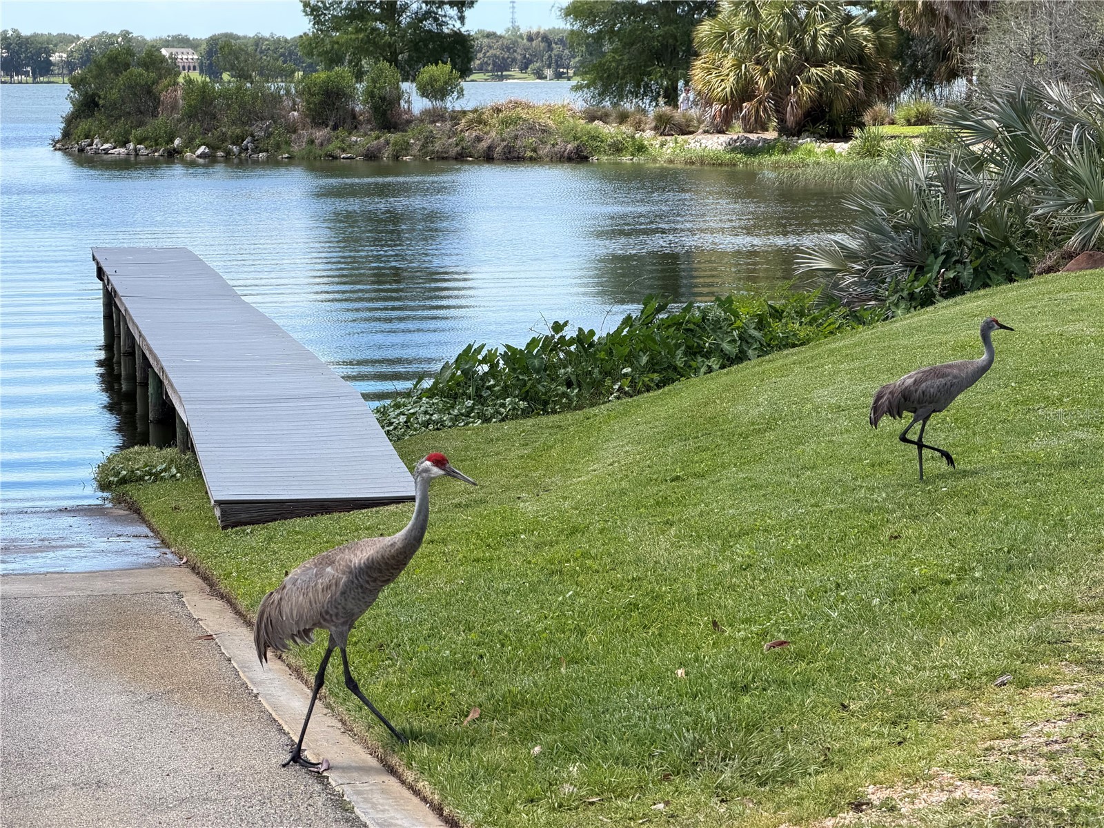 10702 Osprey Landing Way Thonotosassa FL 33592 - LAKE THONOTOSASSA TB8510336 image6