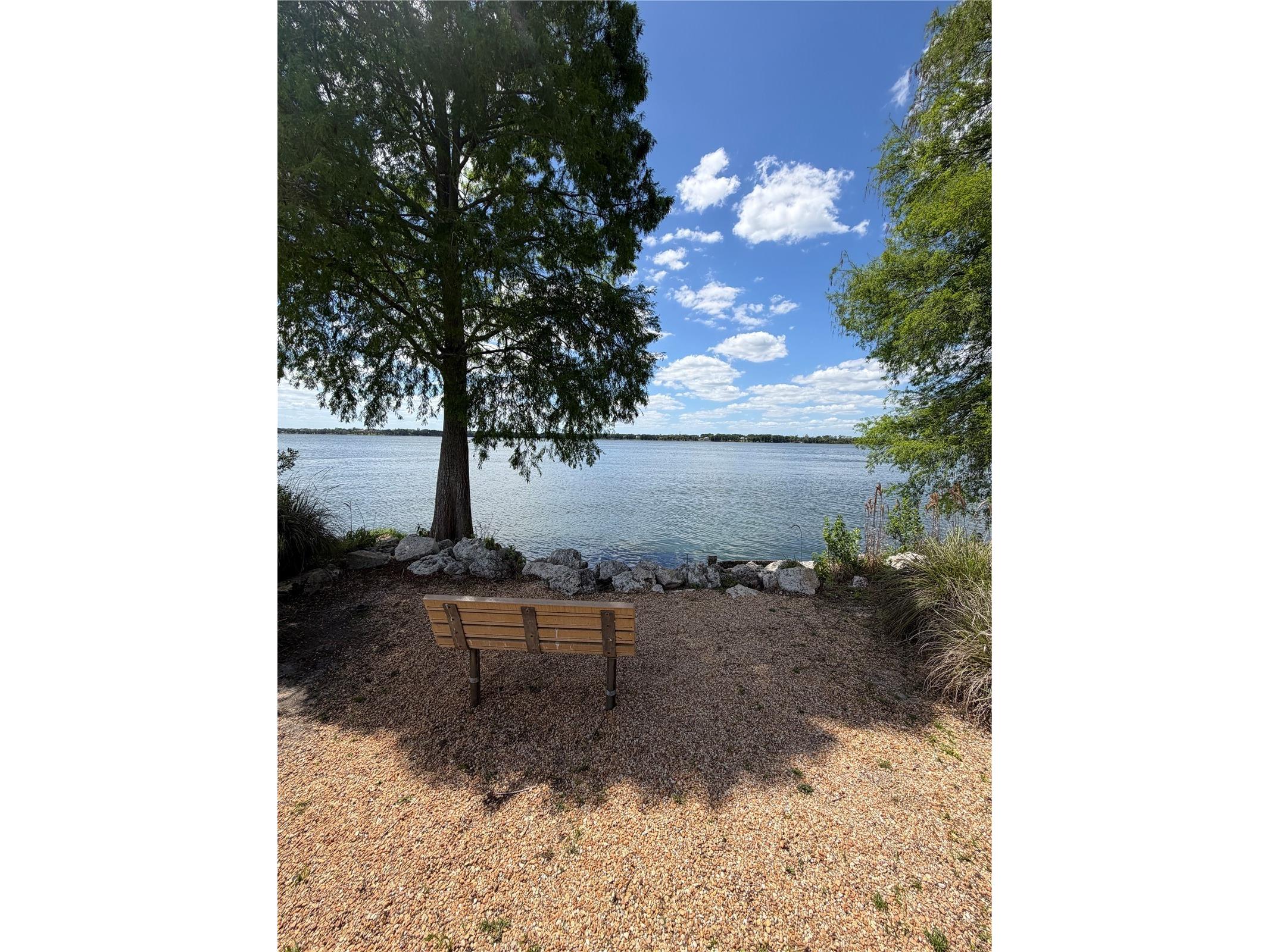 10702 Osprey Landing Way Thonotosassa FL 33592 - LAKE THONOTOSASSA TB8510336 image7
