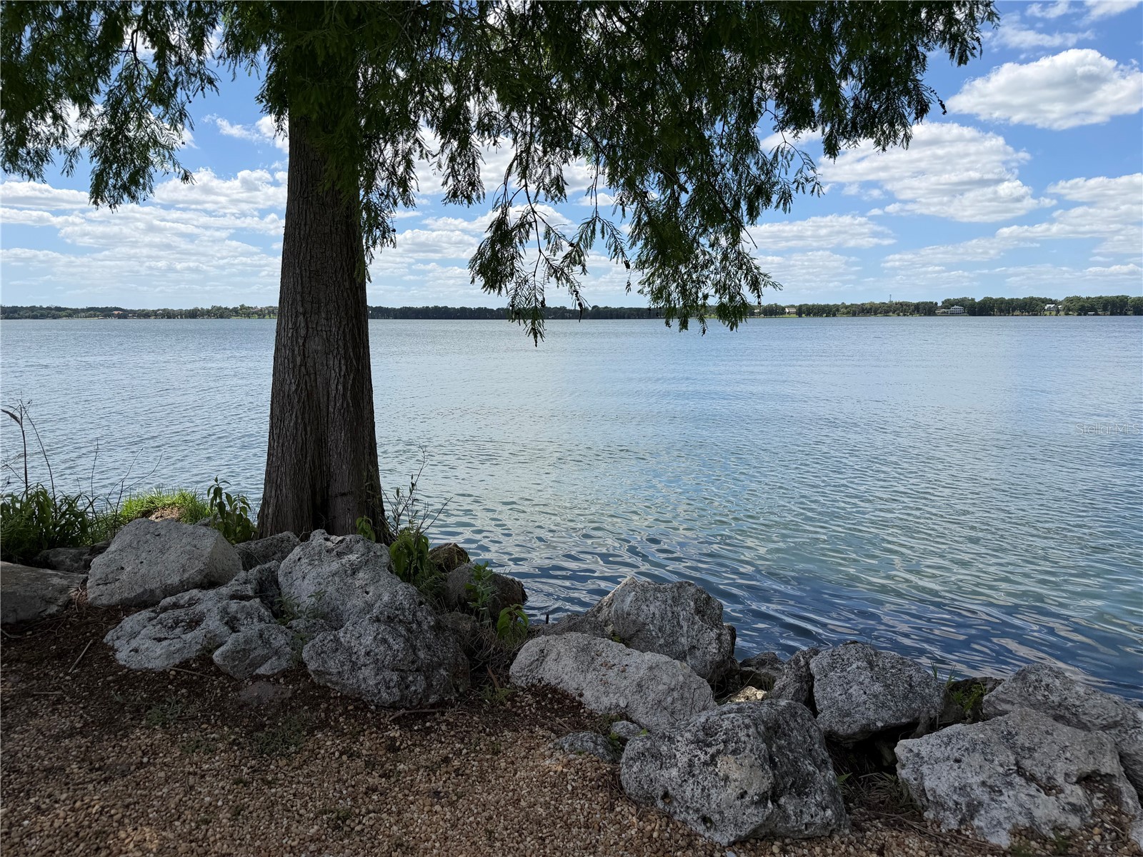 10702 Osprey Landing Way Thonotosassa FL 33592 - LAKE THONOTOSASSA TB8510336 image8