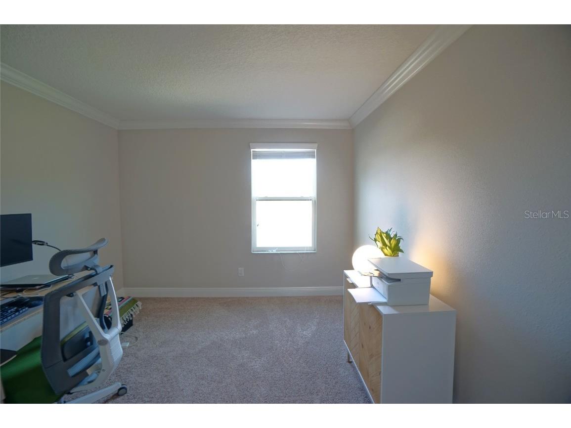 10702 Pleasant Knoll Drive Tampa FL 33647 TB8426844 image27