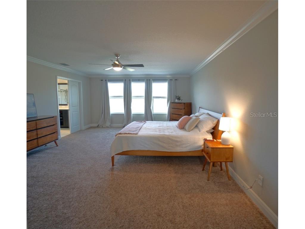 10702 Pleasant Knoll Drive Tampa FL 33647 TB8426844 image28