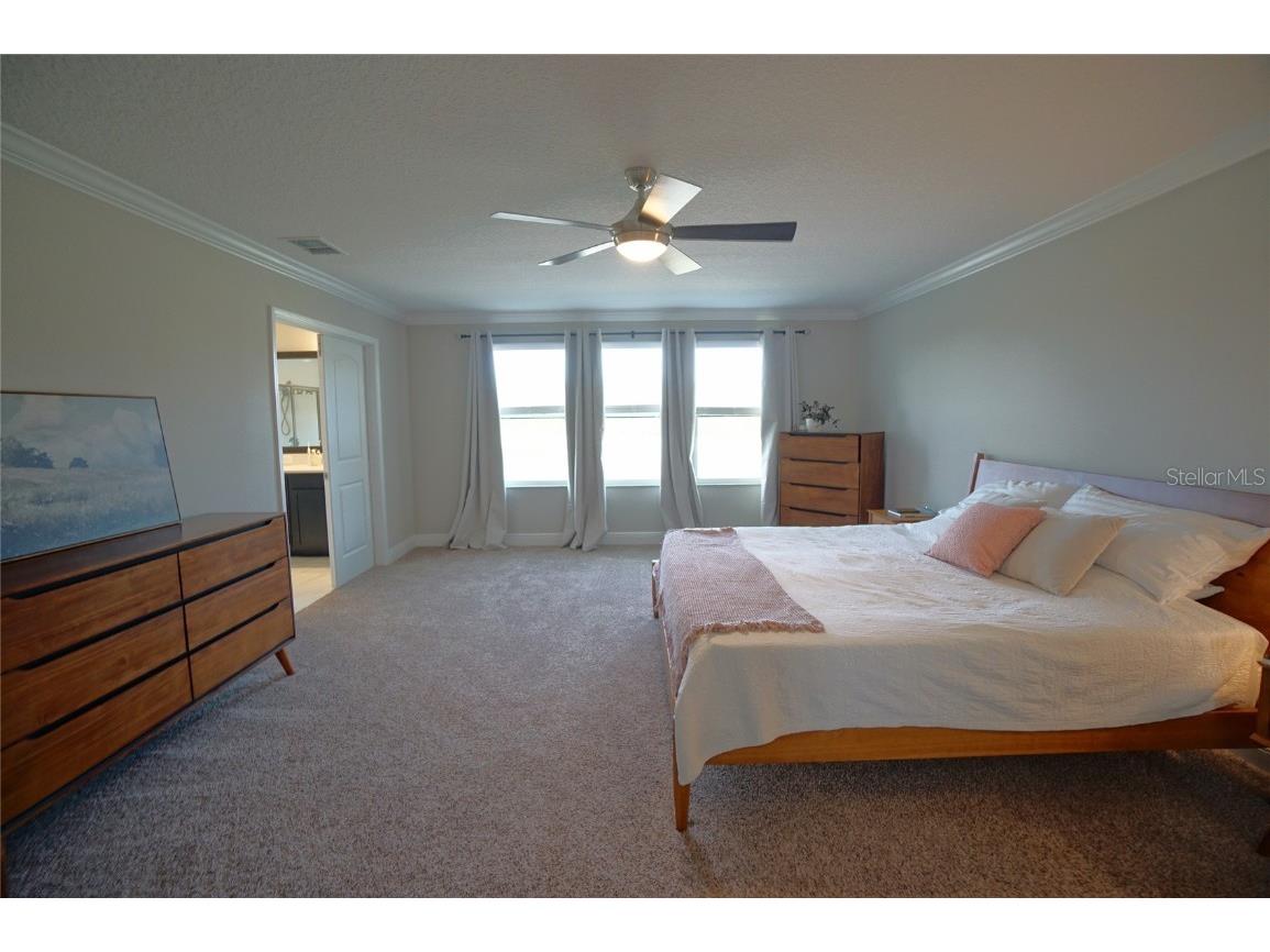 10702 Pleasant Knoll Drive Tampa FL 33647 TB8426844 image29