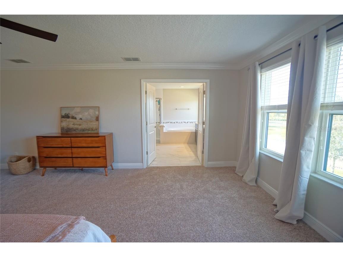 10702 Pleasant Knoll Drive Tampa FL 33647 TB8426844 image30