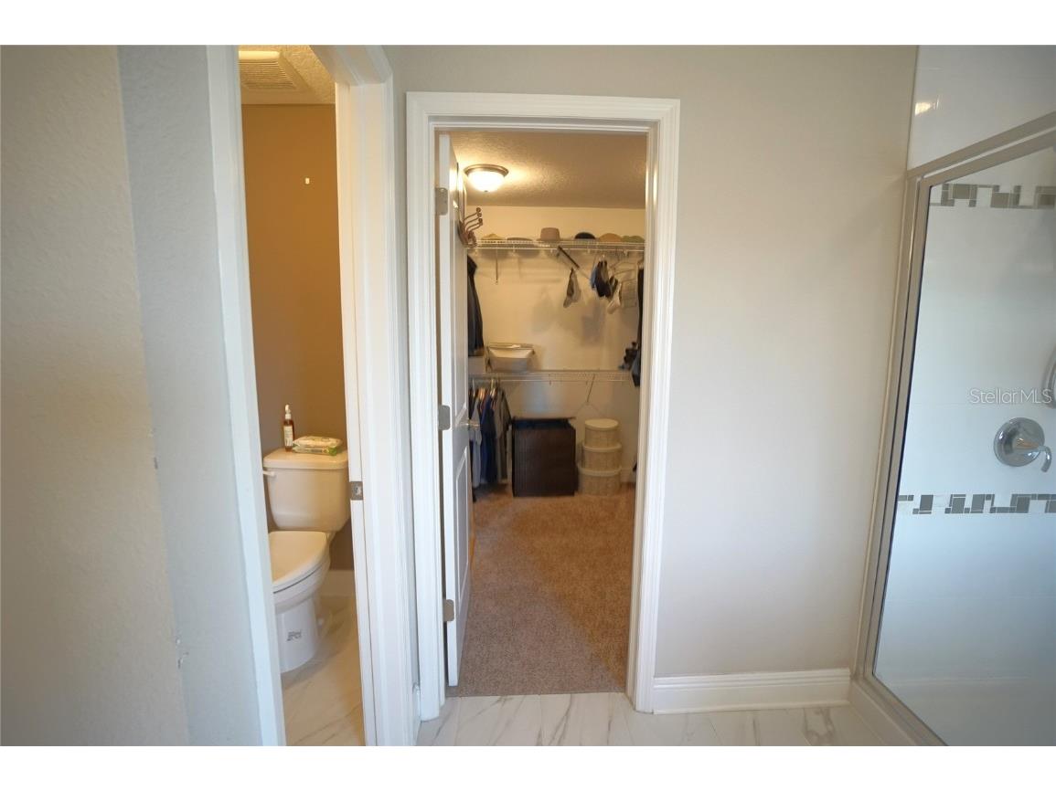 10702 Pleasant Knoll Drive Tampa FL 33647 TB8426844 image32