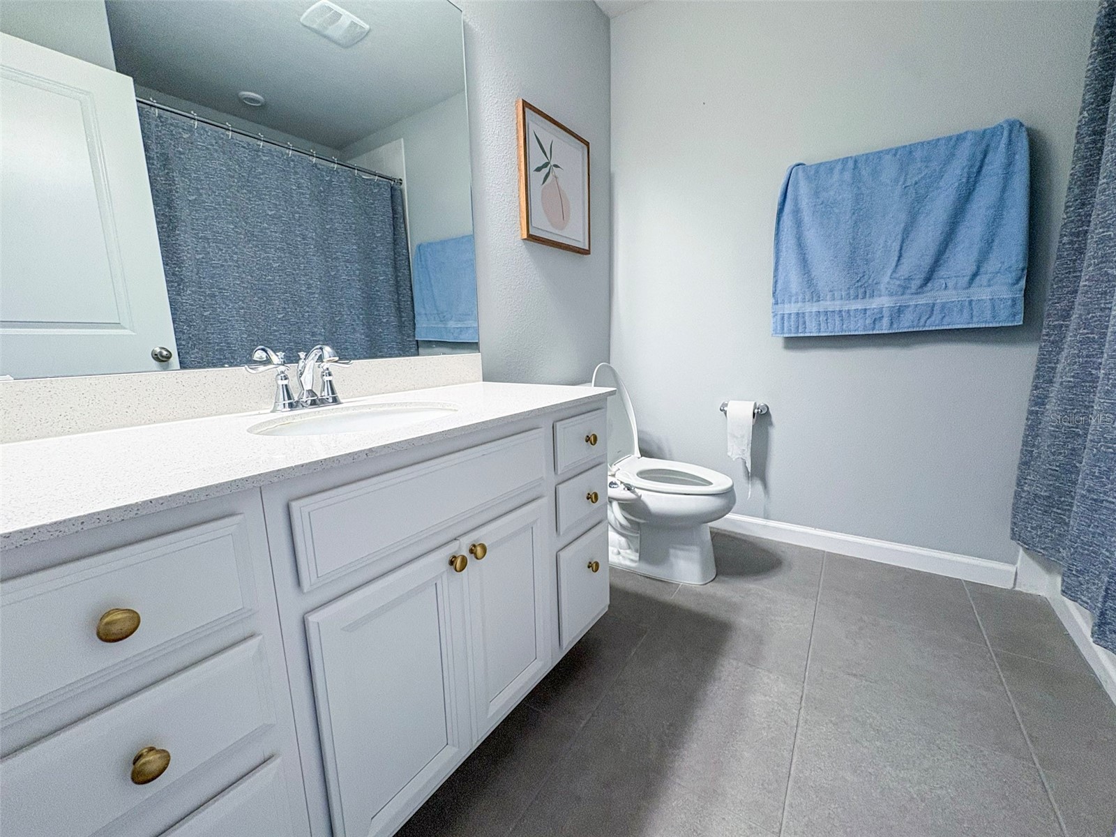 10703 Verawood Drive Riverview FL 33579 TB8475130 image16