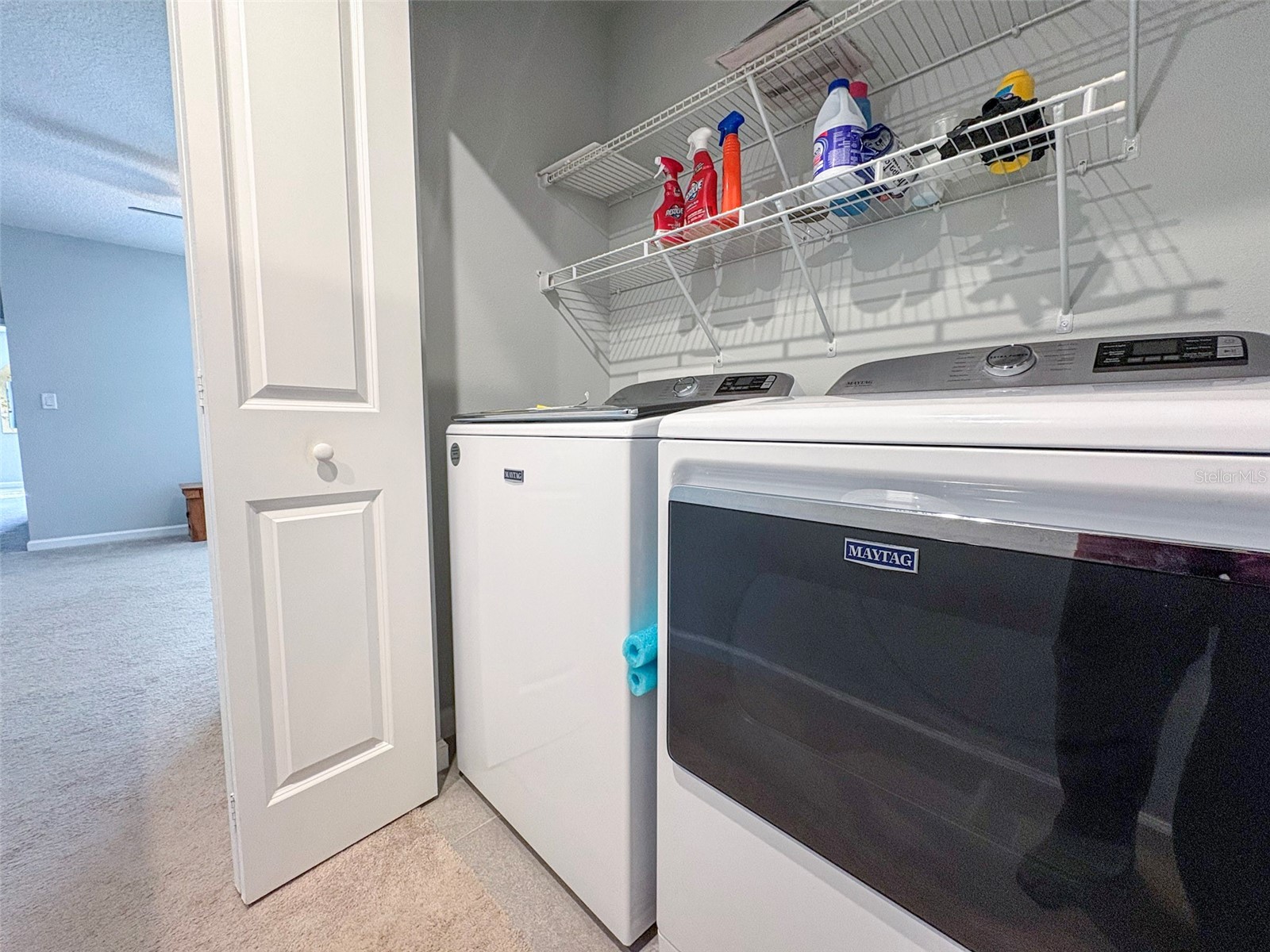 10703 Verawood Drive Riverview FL 33579 TB8475130 image17