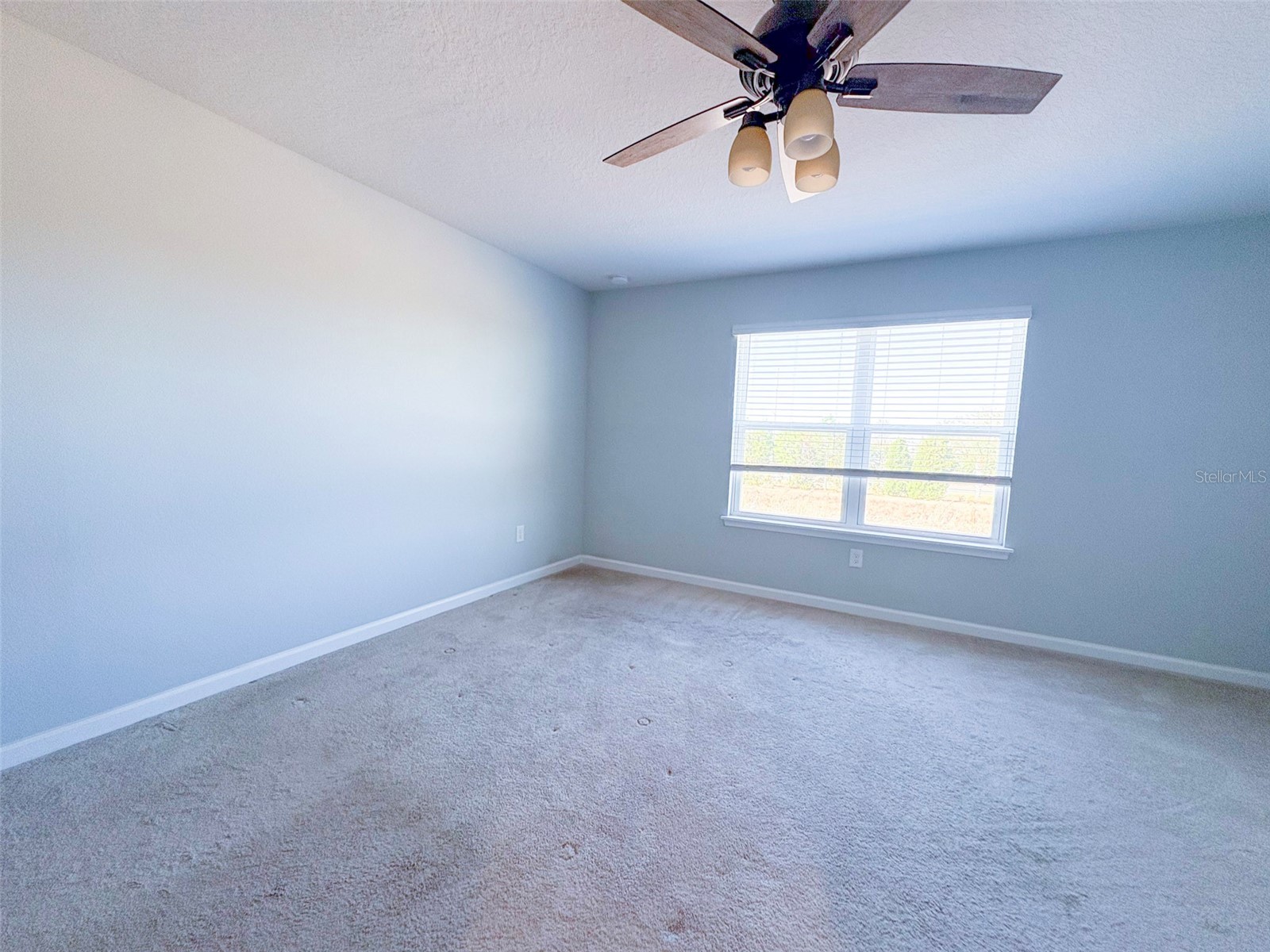 10703 Verawood Drive Riverview FL 33579 TB8475130 image18