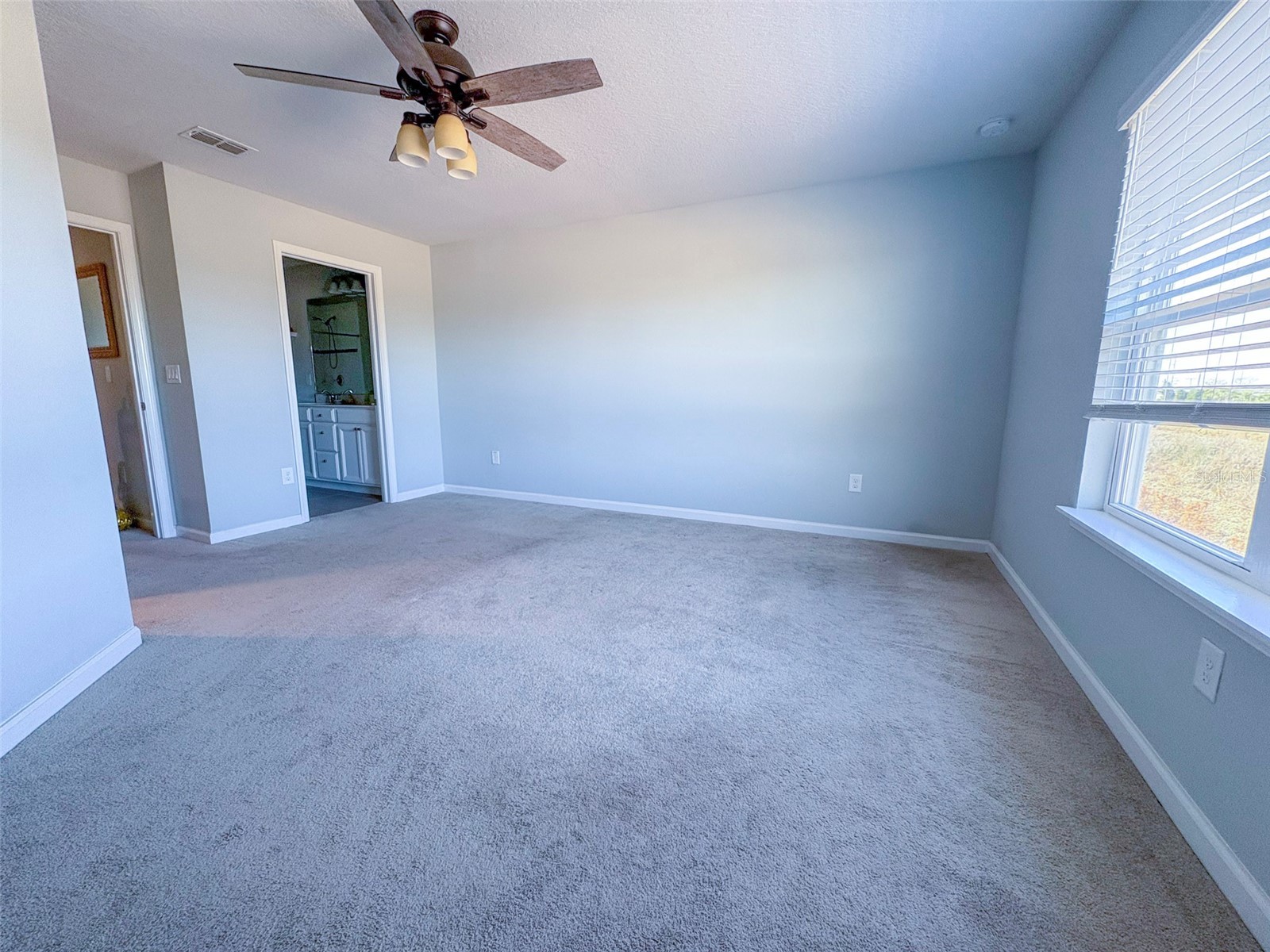 10703 Verawood Drive Riverview FL 33579 TB8475130 image19