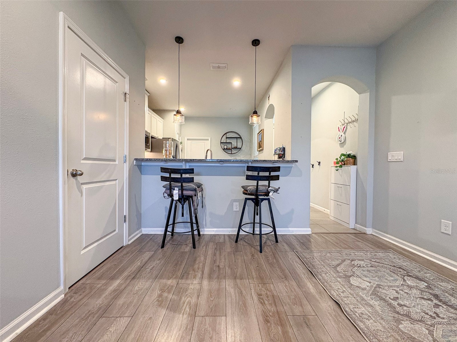 10703 Verawood Drive Riverview FL 33579 TB8475130 image7