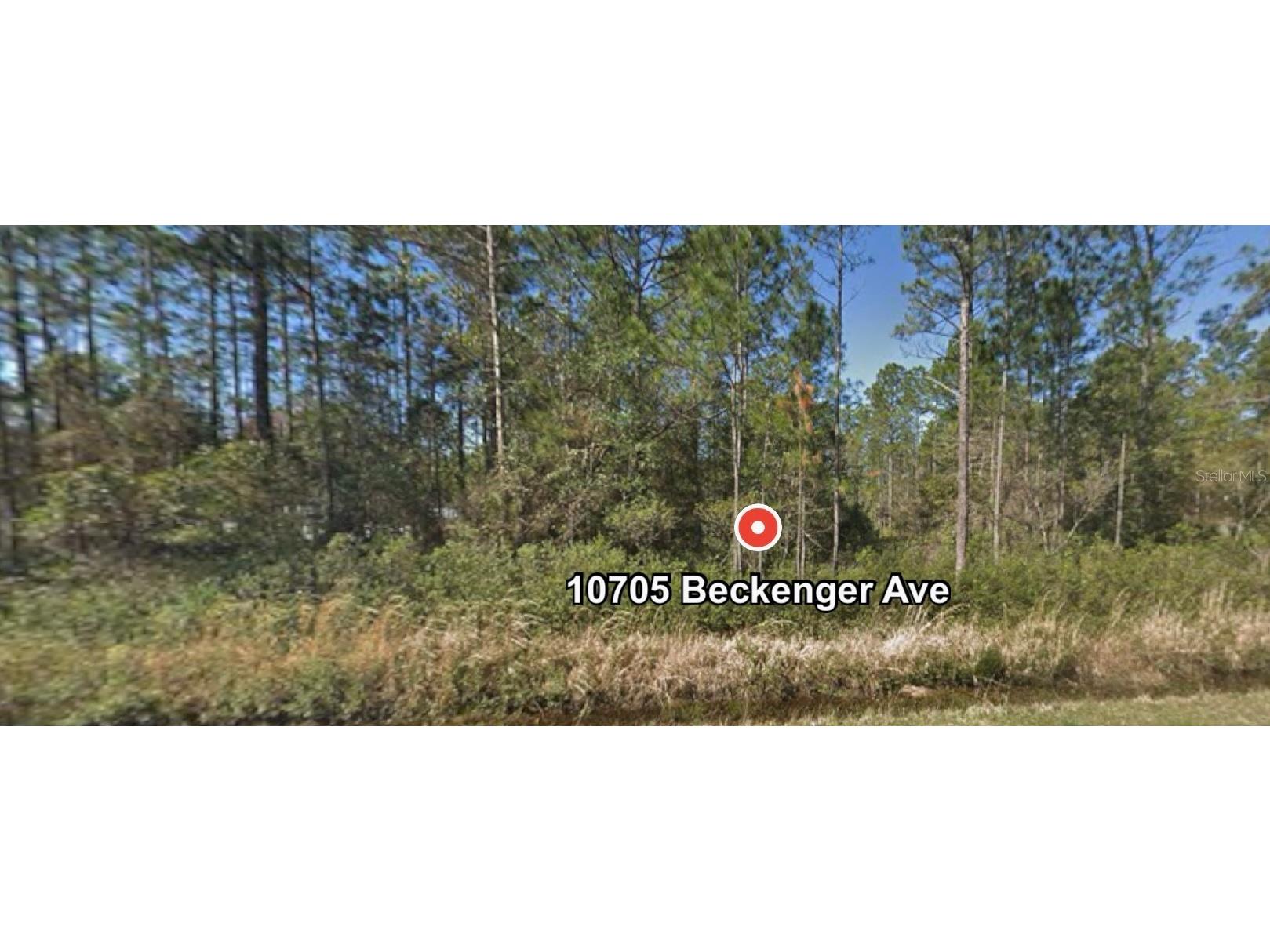 10705 Beckenger Avenue Hastings FL 32145 O6245233 image1