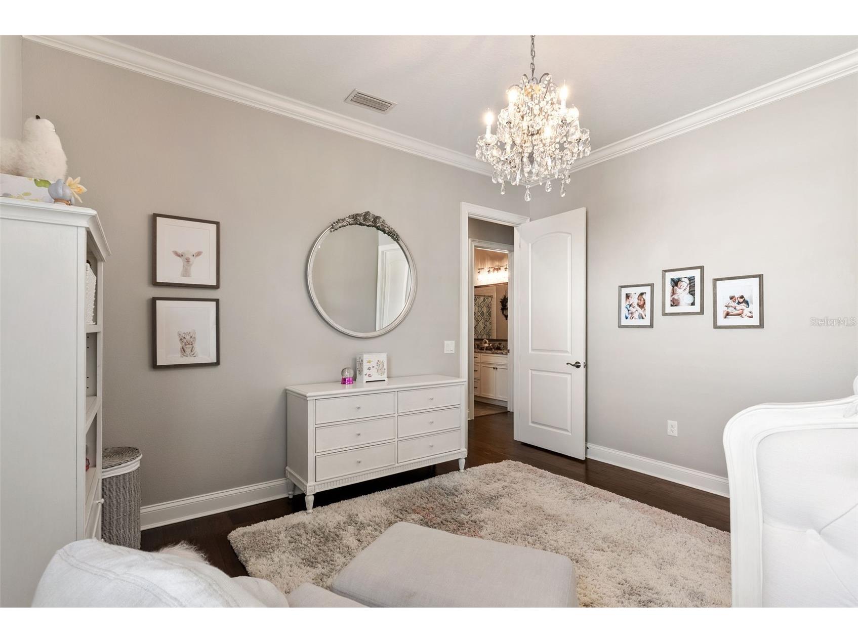 10705 Crane Hill Court Thonotosassa FL 33592 TB8429738 image39