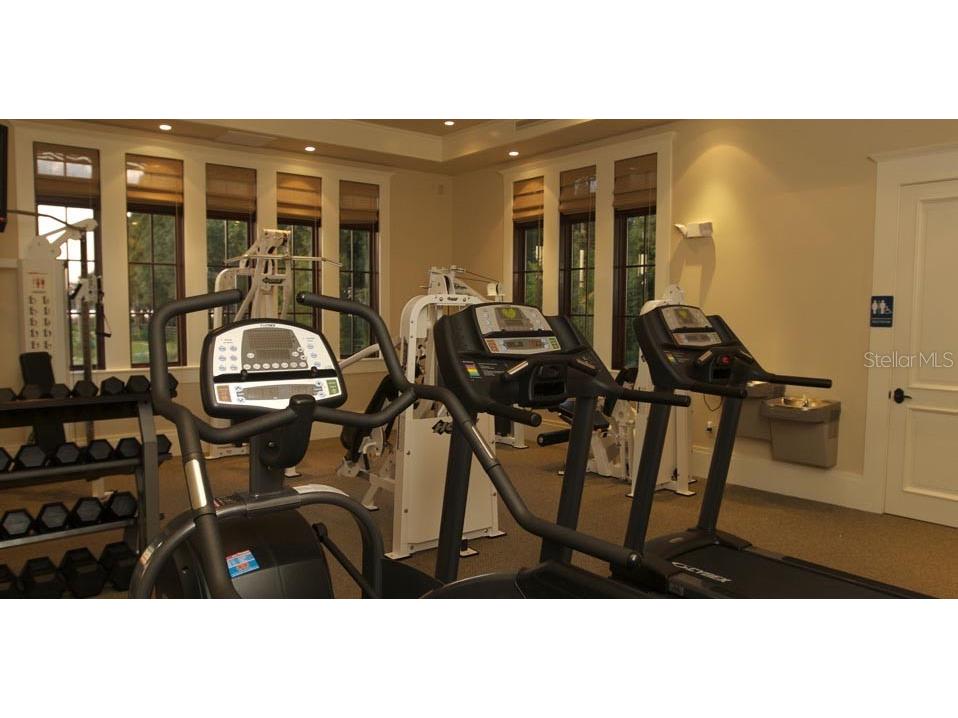 10705 Crane Hill Court Thonotosassa FL 33592 TB8429738 image83