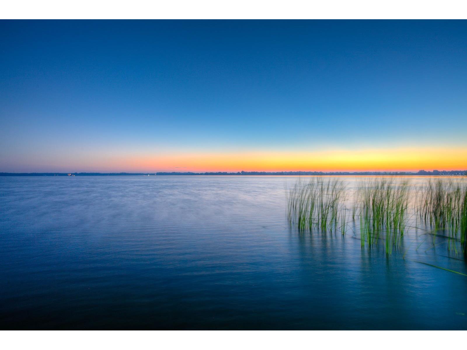 10705 Crane Hill Court Thonotosassa FL 33592 TB8429738 image85