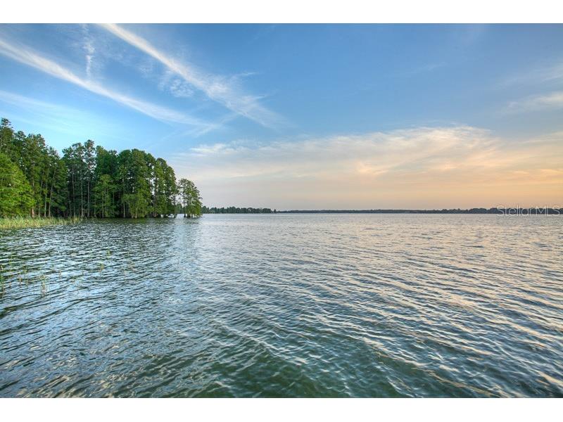 10705 Crane Hill Court Thonotosassa FL 33592 TB8429738 image88