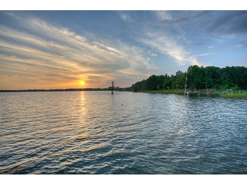 10705 Crane Hill Court Thonotosassa FL 33592 TB8429738 image89