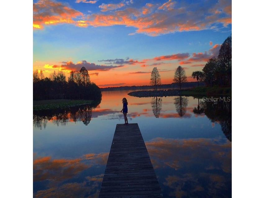 10705 Crane Hill Court Thonotosassa FL 33592 TB8429738 image92