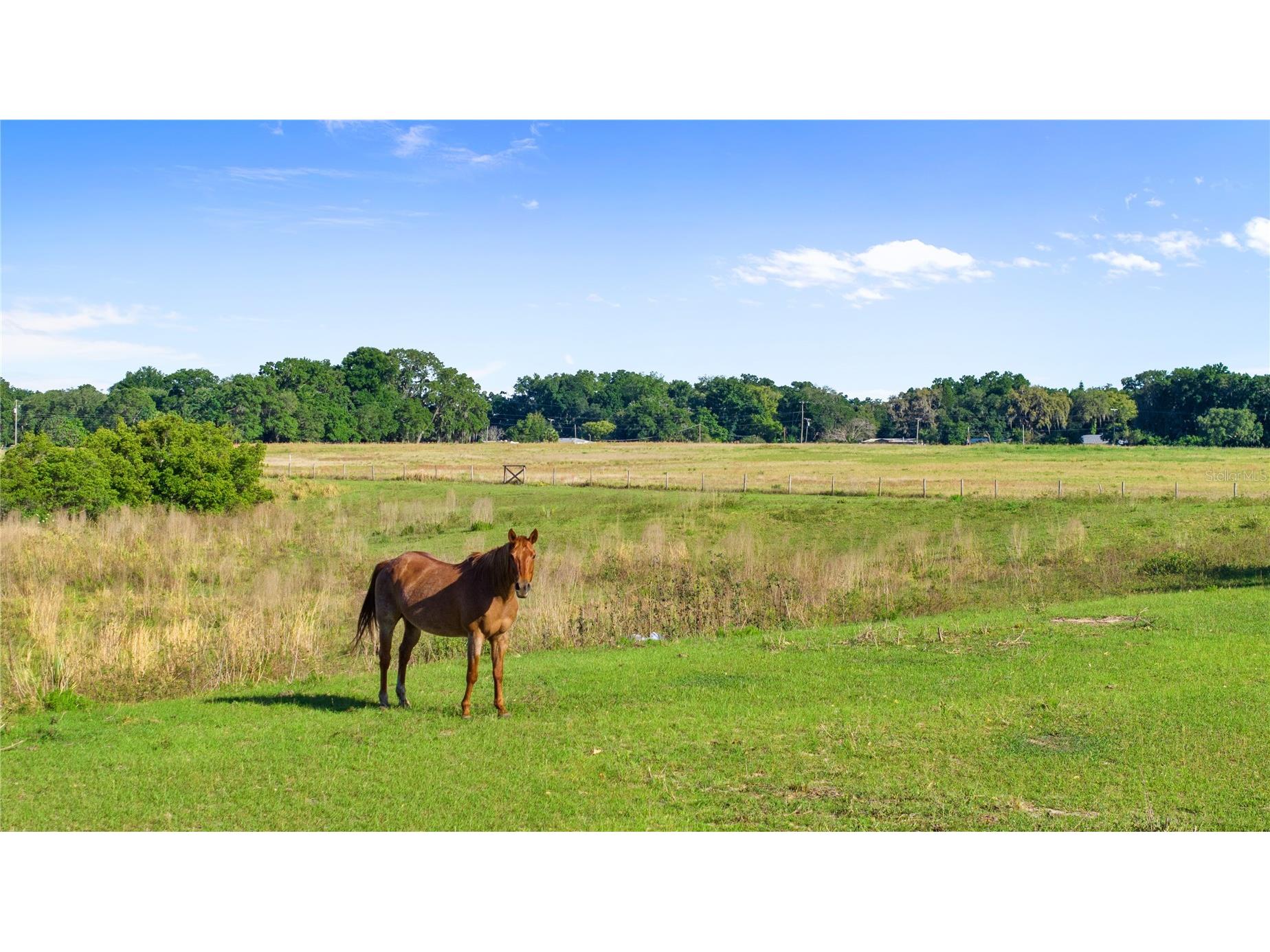 10705 Crane Hill Court Thonotosassa FL 33592 TB8429738 image96