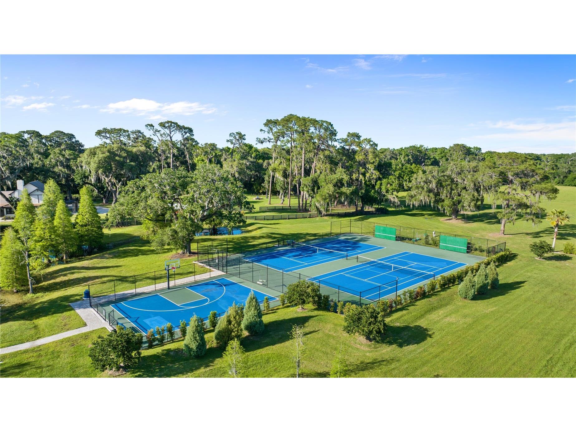 10705 Crane Hill Court Thonotosassa FL 33592 TB8429738 image98