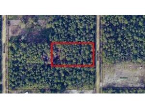 10705 Delgado Avenue Hastings FL 32145 OM703566 image1