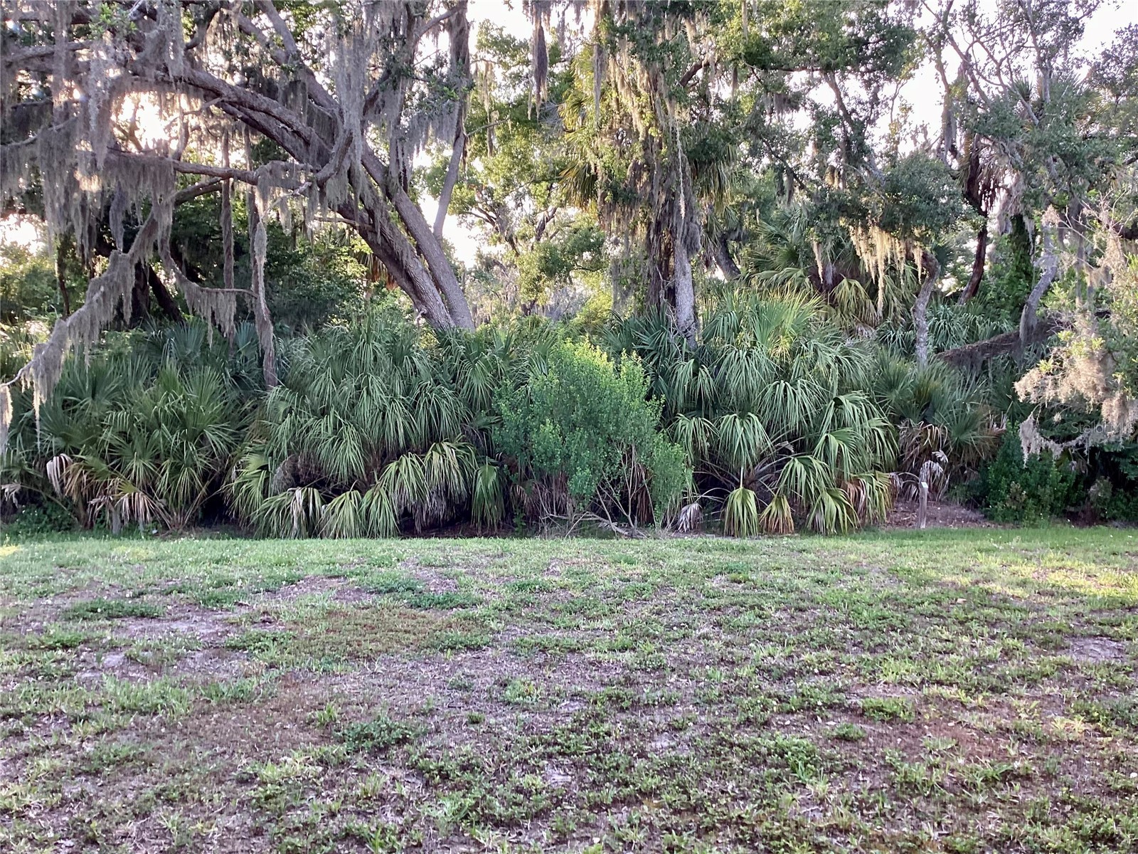 10705 Fieldstone Drive Palmetto FL 34221 A4692668 image10