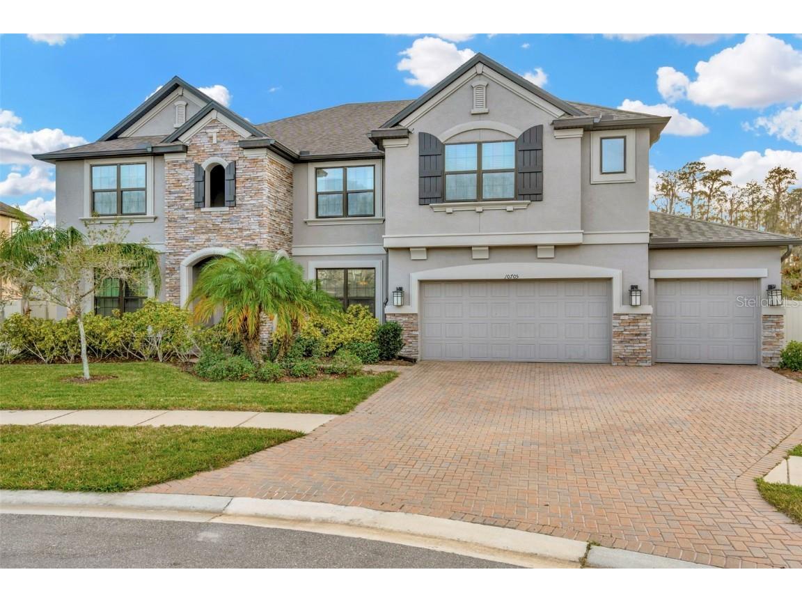 10705 Foxtail Pasture Way Tampa FL 33647 T3534170 image1