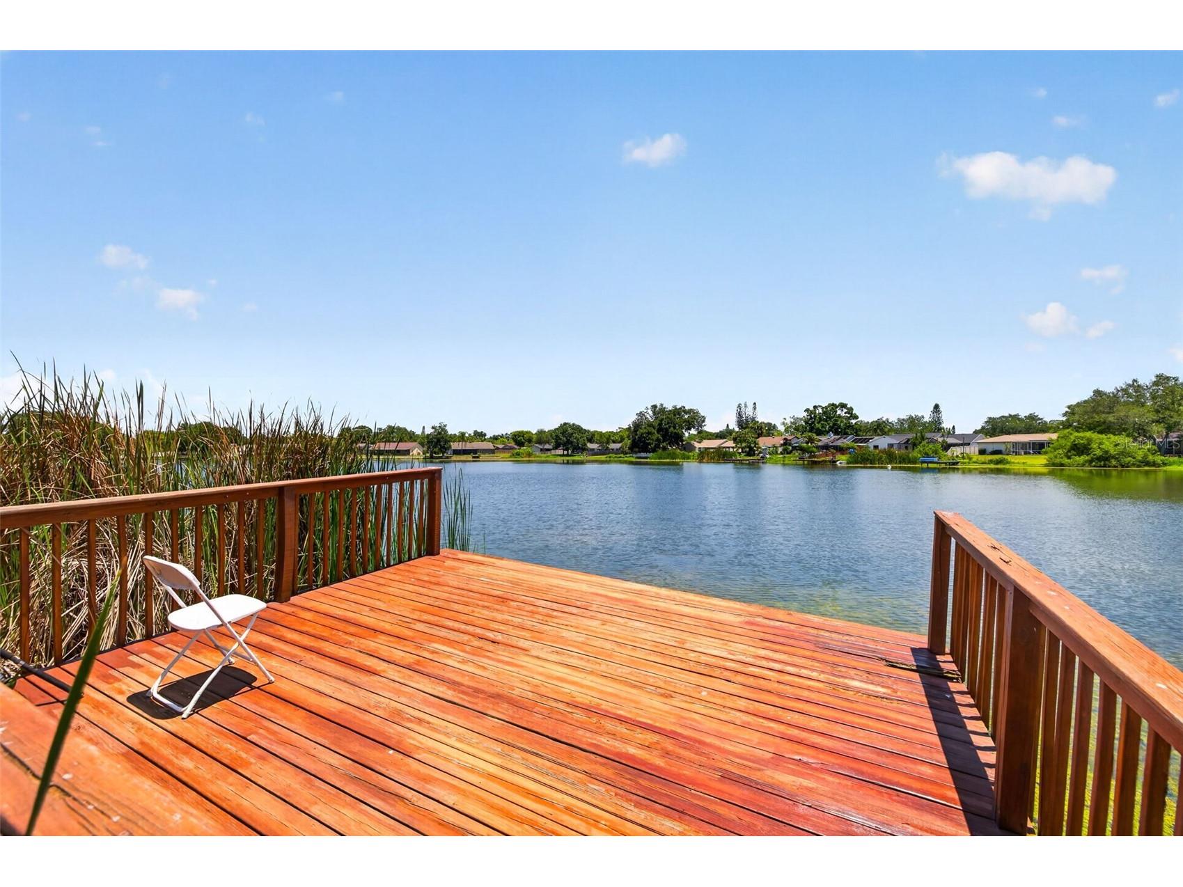 10705 Out Island Drive Tampa FL 33615 - COVE LAKE TB8512234 image34