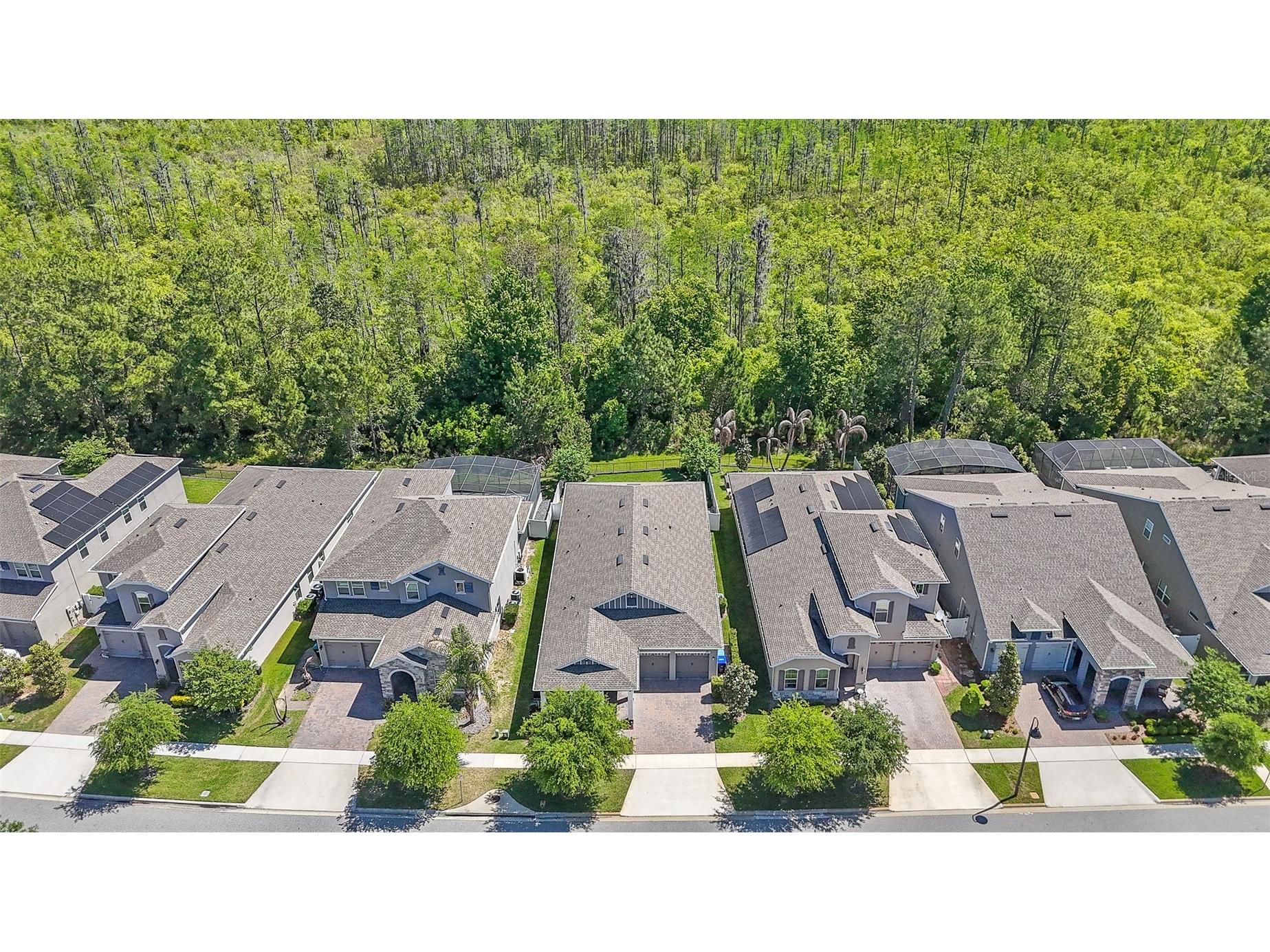 10705 Petrillo Way Winter Garden FL 34787 O6391807 image2