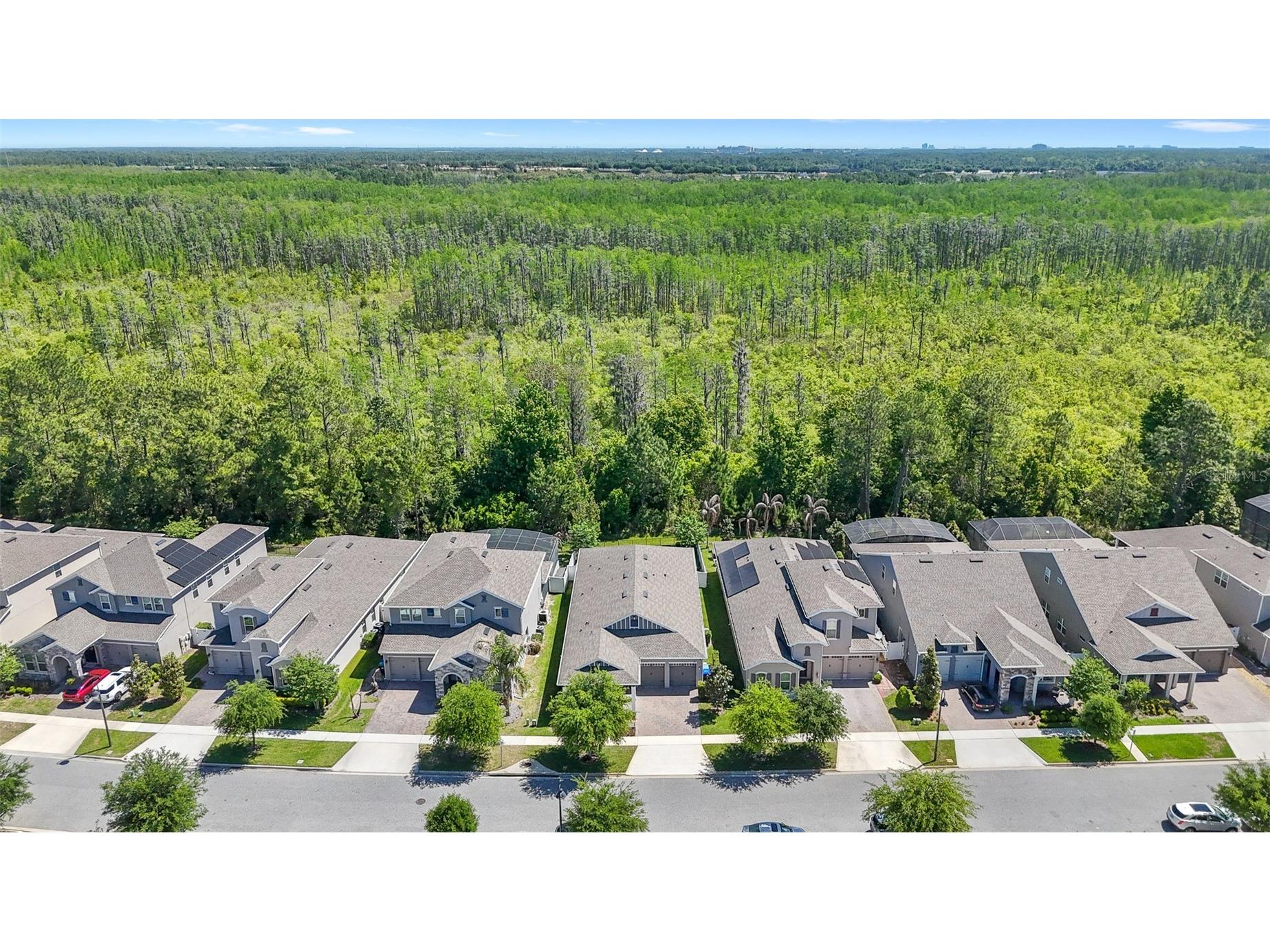 10705 Petrillo Way Winter Garden FL 34787 O6391807 image46