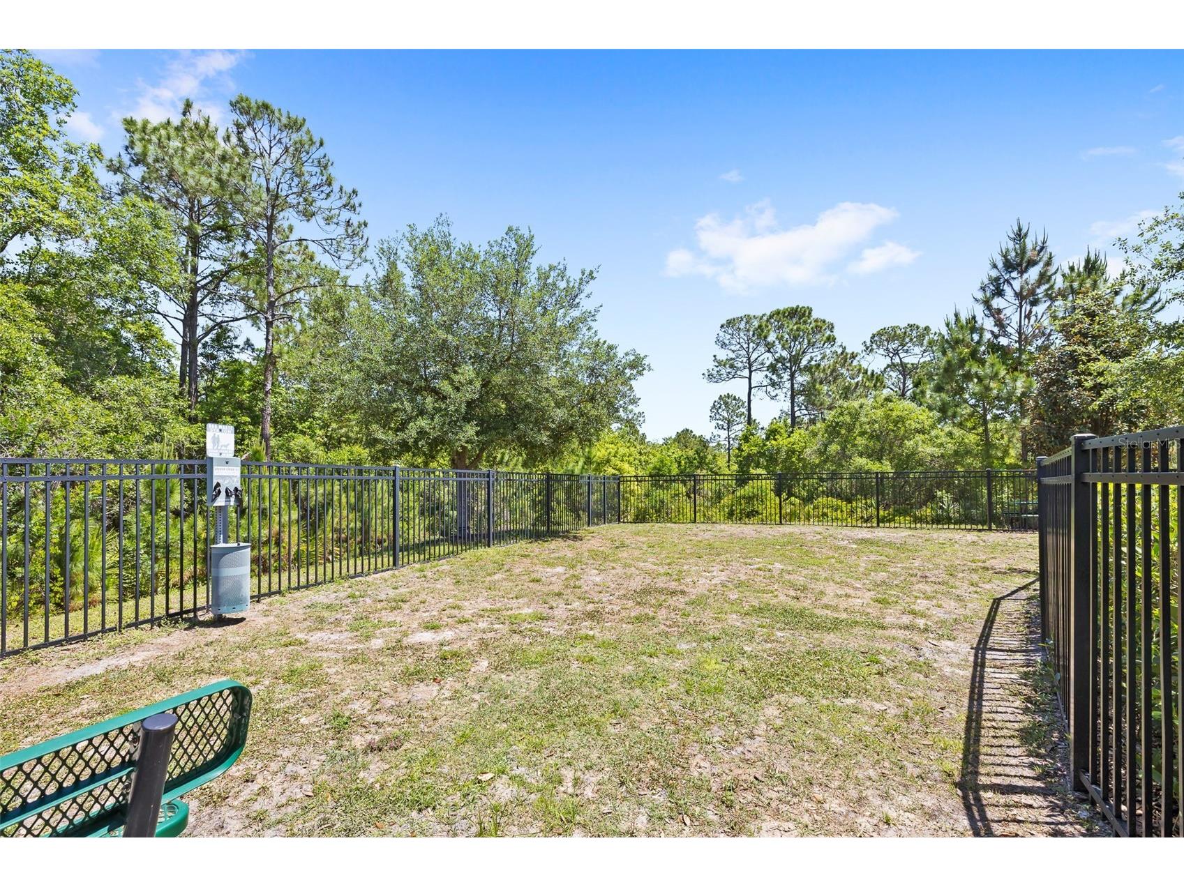 10705 Petrillo Way Winter Garden FL 34787 O6391807 image55