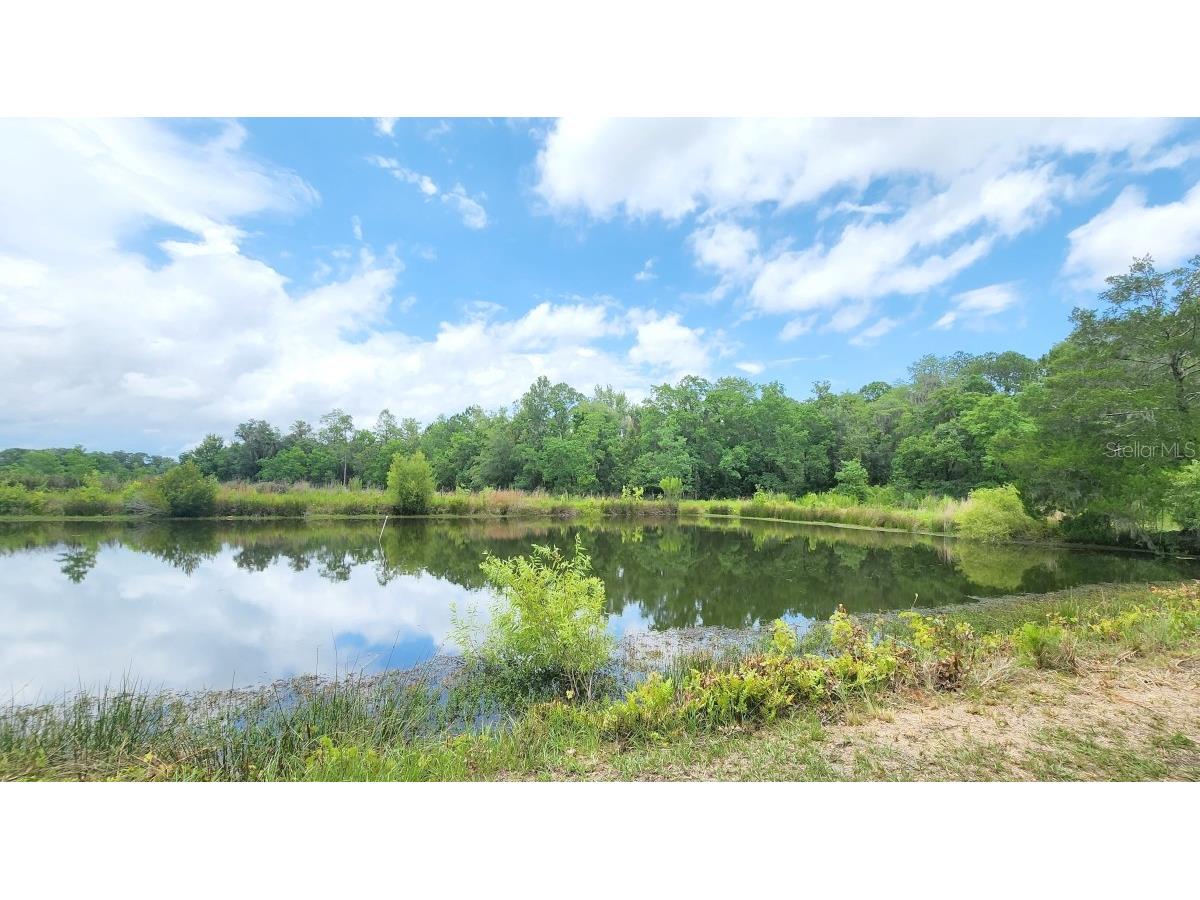 10705 SE 49th Avenue Starke FL 32091 GC514475 image1