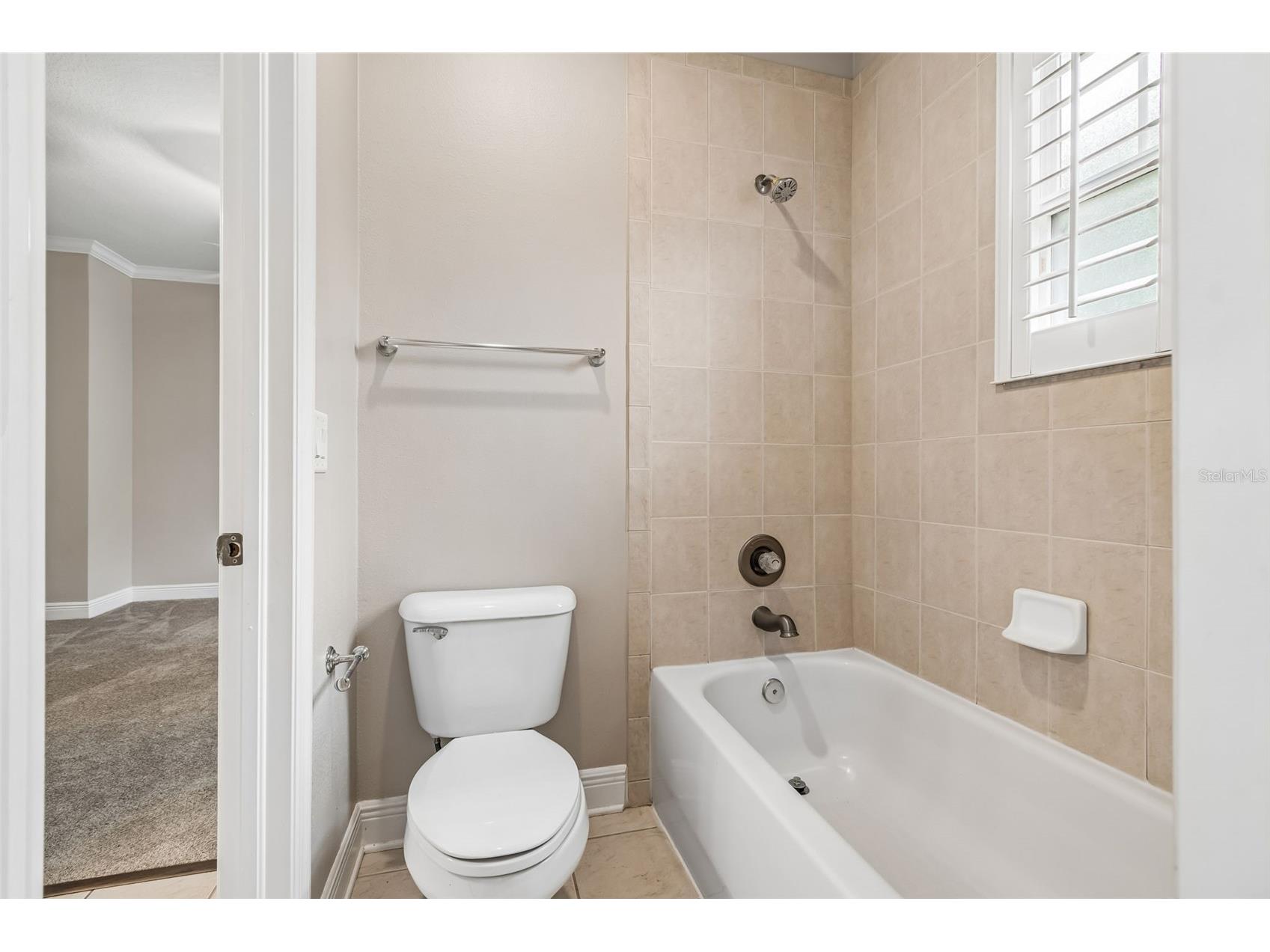 10706 Doc Brittle Street New Port Richey FL 34655 TB8489824 image40