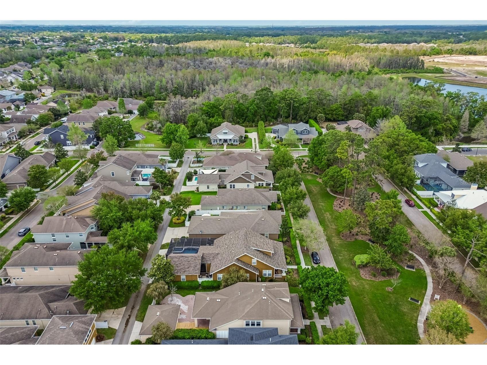 10706 Doc Brittle Street New Port Richey FL 34655 TB8489824 image58