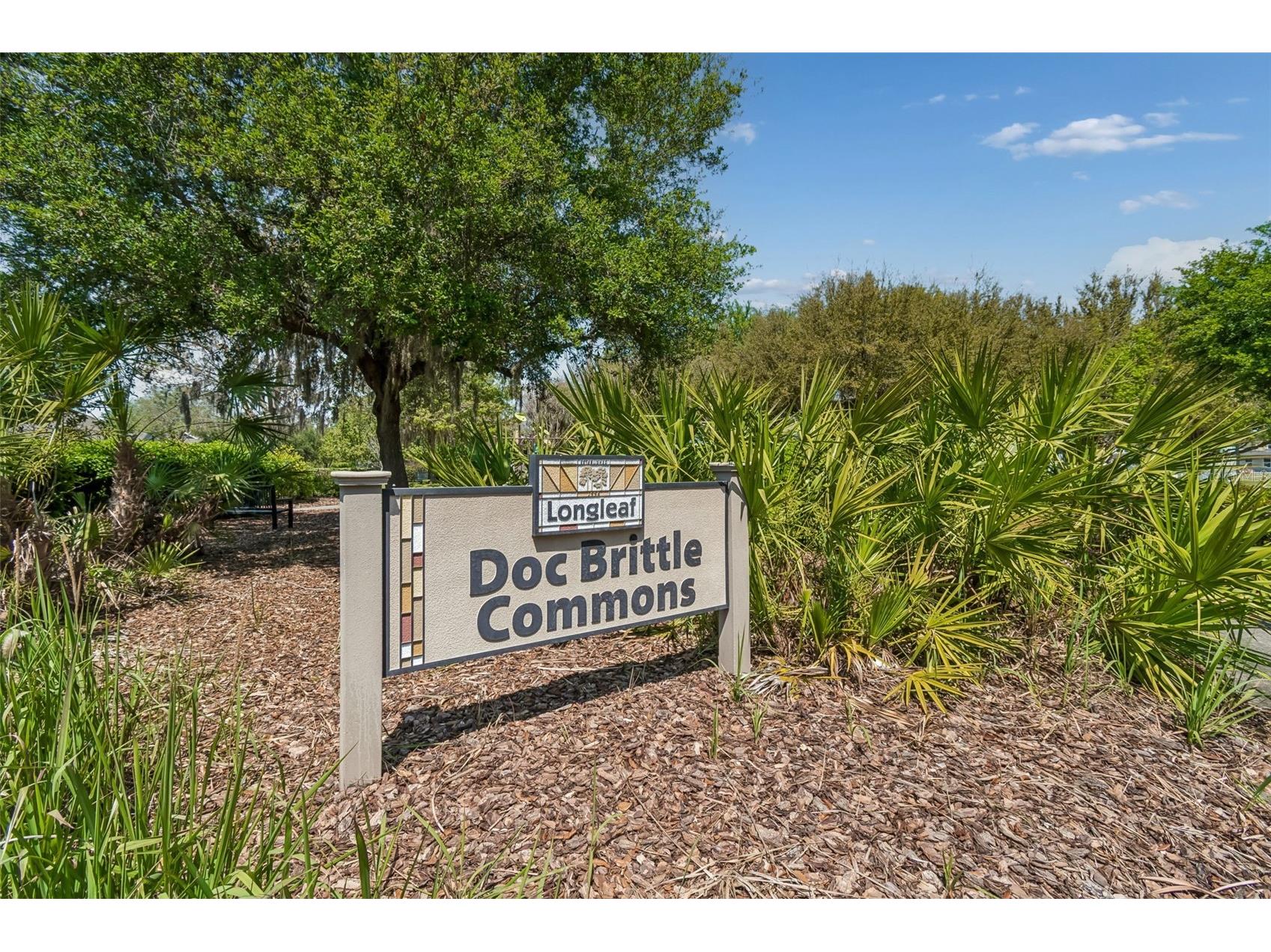 10706 Doc Brittle Street New Port Richey FL 34655 TB8489824 image72