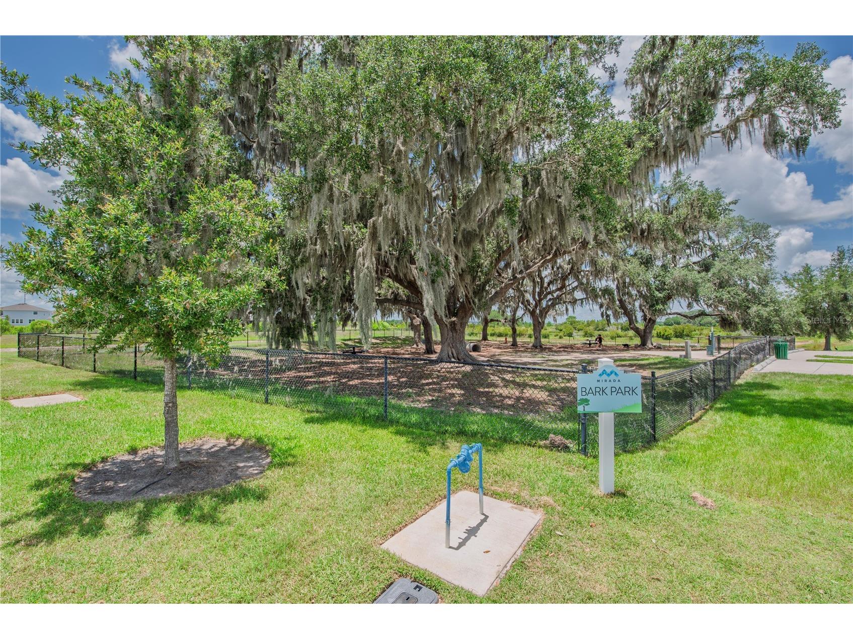 10706 Torchwood Sea Way San Antonio FL 33576 TB8517845 image53