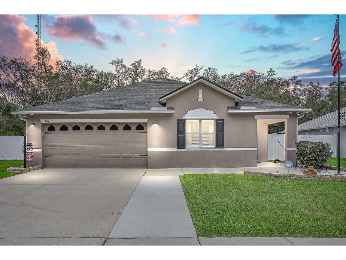 10707 Boyette Creek Boulevard Riverview FL 33569 P4926711 image1
