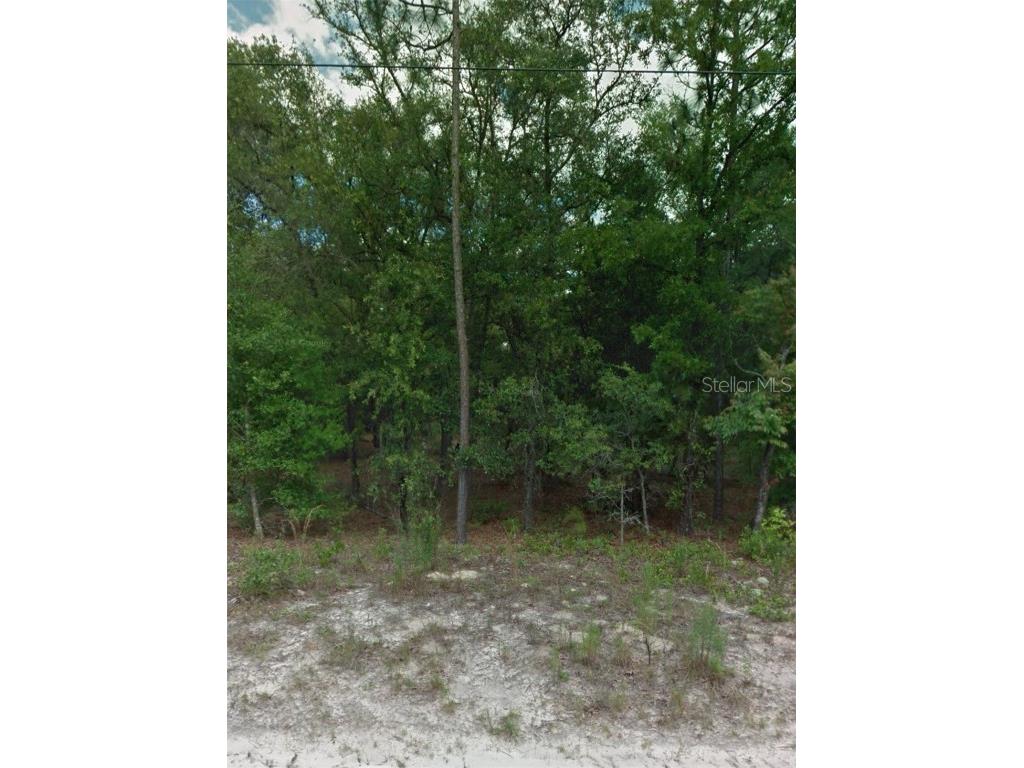 10707 N Hatari Drive Citrus Springs FL 34433 GC525078 image1