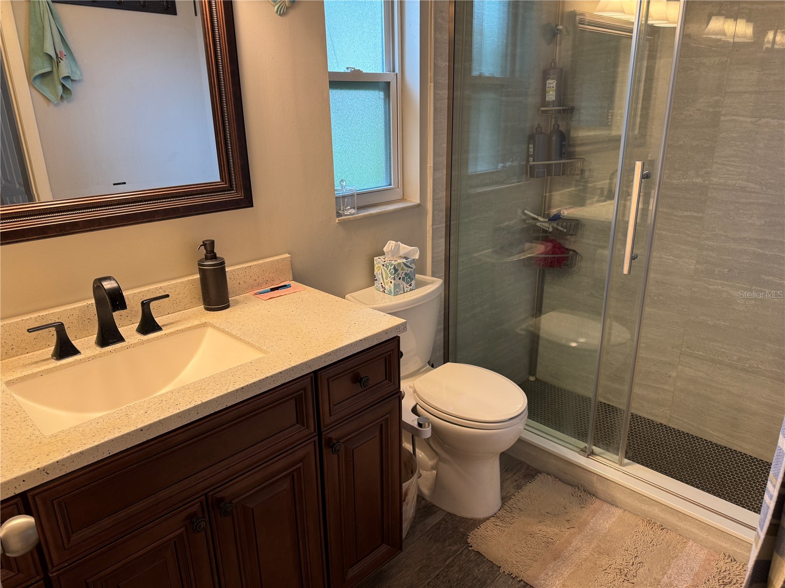 10707 Salamanca Drive Port Richey FL 34668 W7887614 image13
