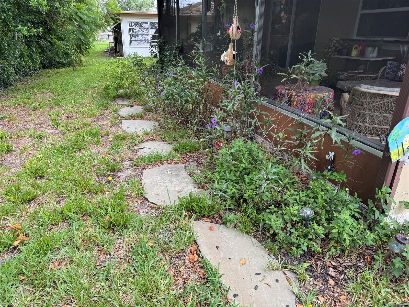 10707 Salamanca Drive Port Richey FL 34668 W7887614 image16