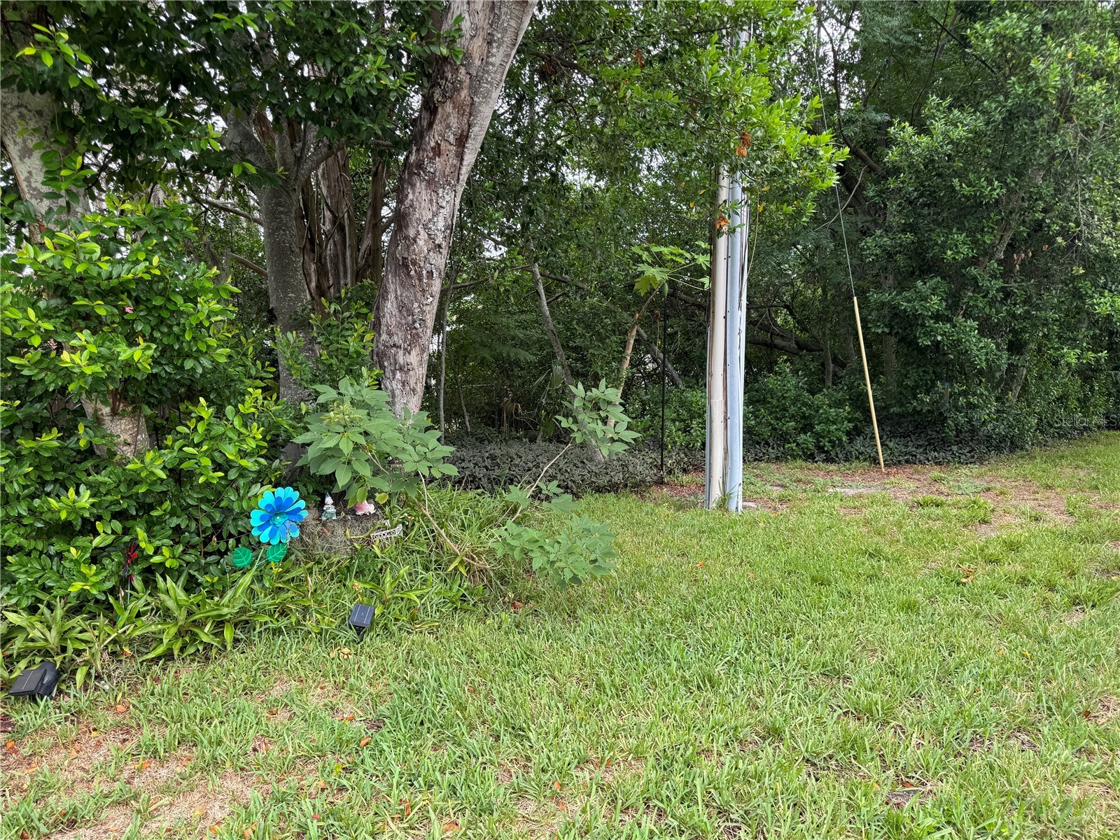 10707 Salamanca Drive Port Richey FL 34668 W7887614 image17