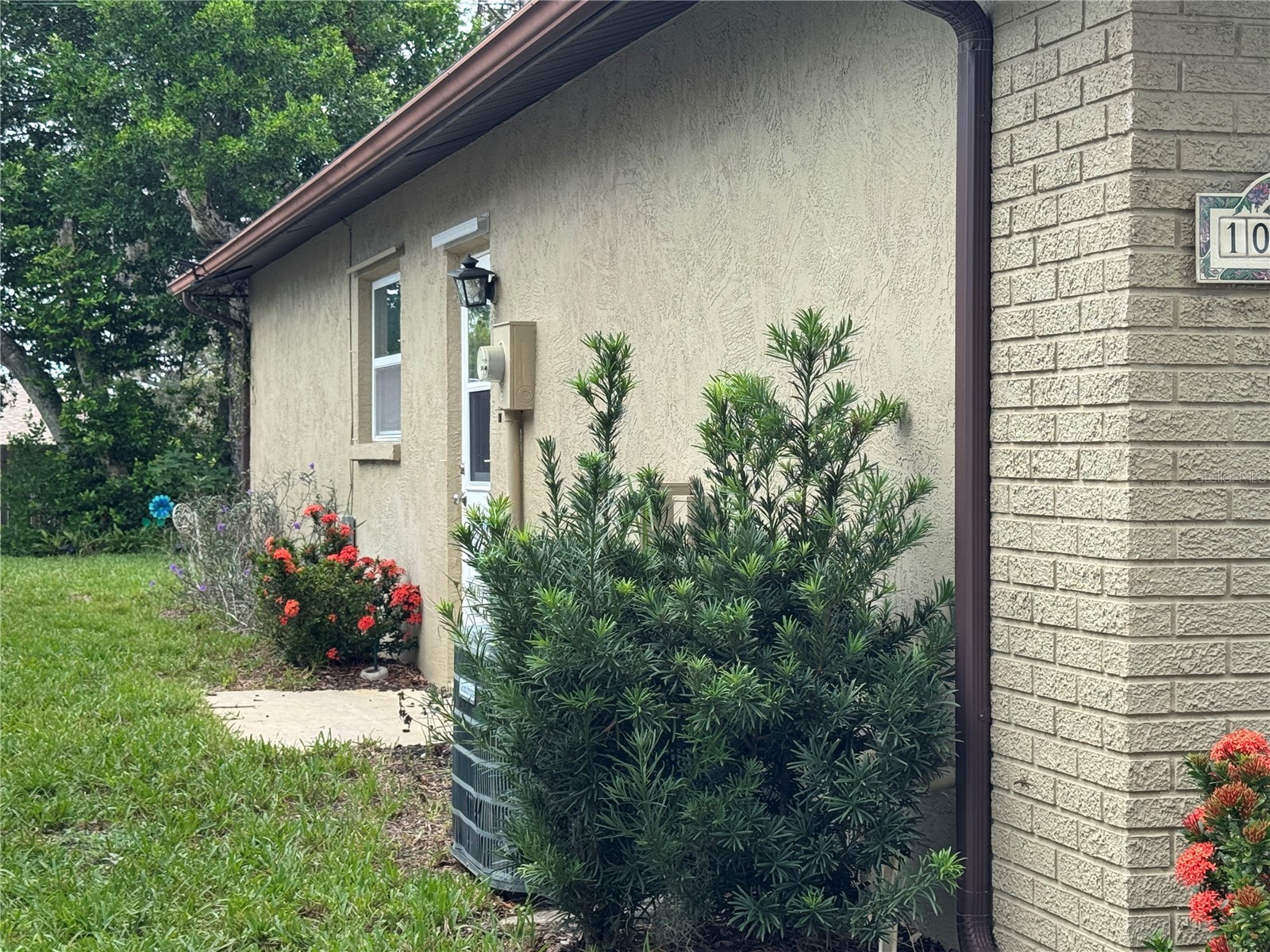 10707 Salamanca Drive Port Richey FL 34668 W7887614 image18