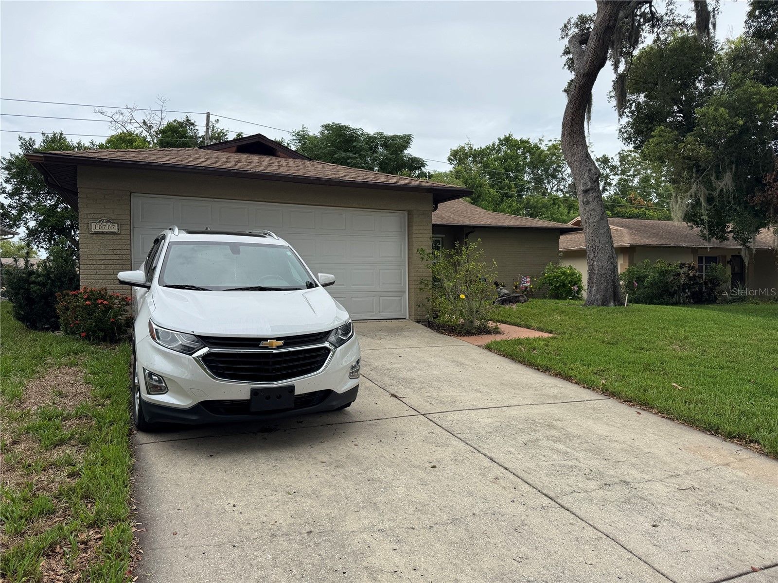 10707 Salamanca Drive Port Richey FL 34668 W7887614 image19