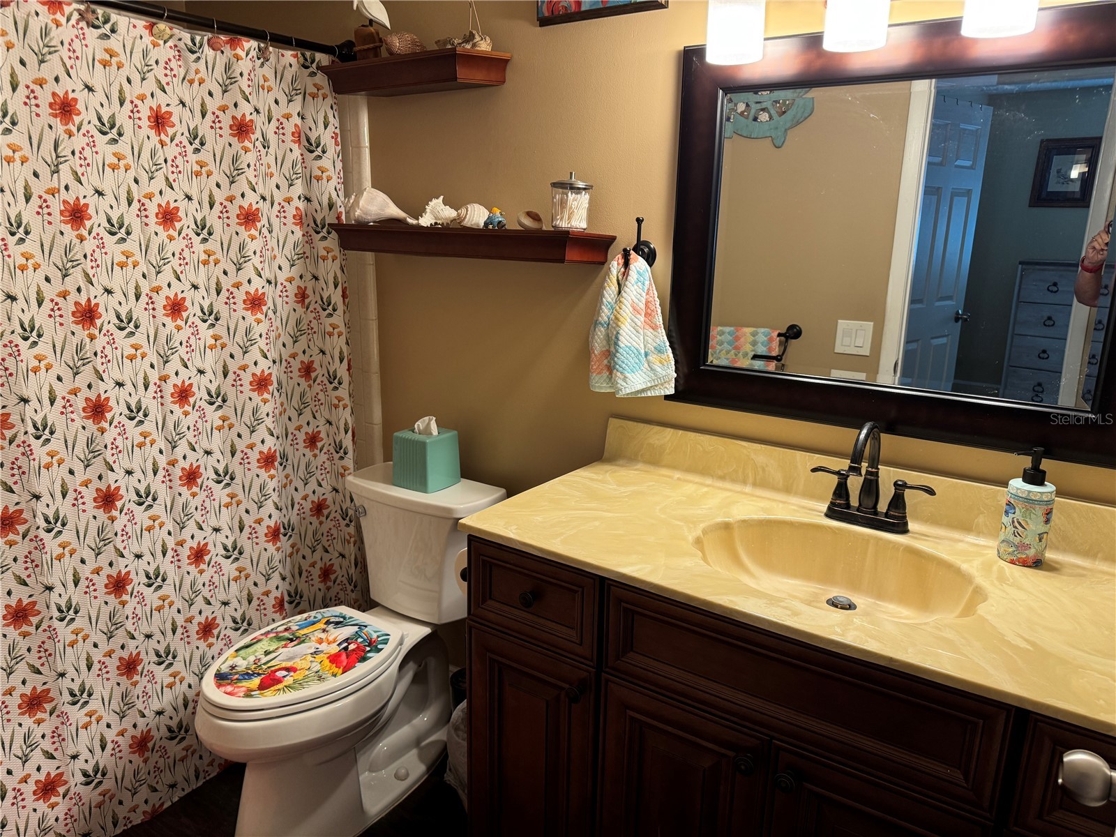 10707 Salamanca Drive Port Richey FL 34668 W7887614 image9