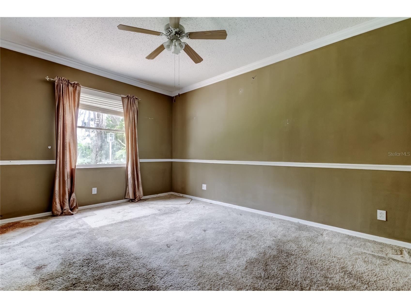 10708 Northridge Court Trinity FL 34655 TB8416262 image15